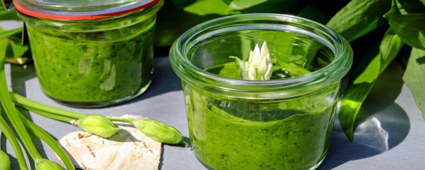 Recette Pesto Ail Des Ours Version Suisse Vivaveg Par Wendy G